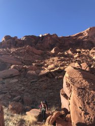 50984AB2-B519-4B81-B472-463137B9D776.jpeg 50984AB2-B519-4B81-B472-463137B9D776.jpeg