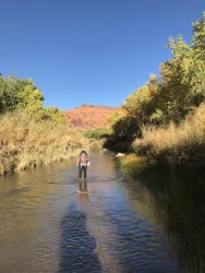 C19D2DAF-37EF-44CD-8558-01A71F34C9A3.jpeg C19D2DAF-37EF-44CD-8558-01A71F34C9A3.jpeg