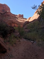 D0DA263C-0C55-4BCF-ACC4-01C8A43459D0.jpeg D0DA263C-0C55-4BCF-ACC4-01C8A43459D0.jpeg