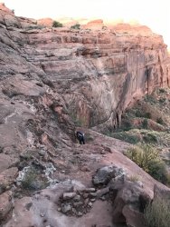 BCA130F7-2770-4B1D-AD4D-092552154163.jpeg BCA130F7-2770-4B1D-AD4D-092552154163.jpeg