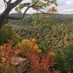 Alpine Vista 1 Left.JPG