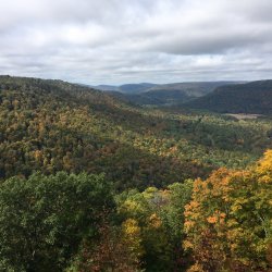 Alpine Vista 2 Center.JPG