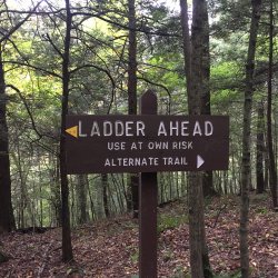 Ketchum Run 2020 (10).JPG