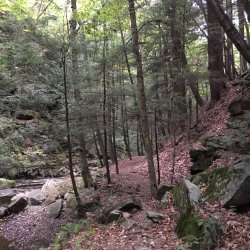 Ketchum Run 2020 (12).JPG