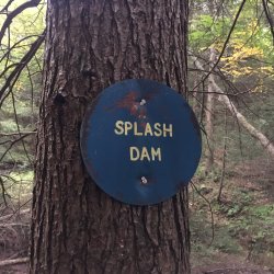 Ketchum Run 2020 (13).JPG