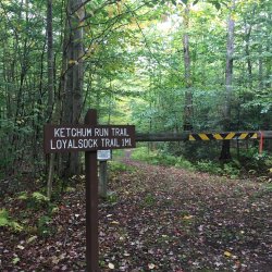 Ketchum Run 2020 (17).JPG