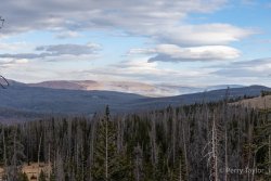 DSC01256.jpg DSC01256.jpg