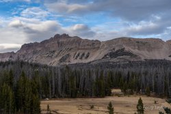 DSC01269.jpg DSC01269.jpg