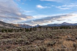 DSC01274.jpg DSC01274.jpg