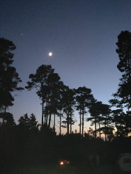 1603726514257.png 1603726514257.png