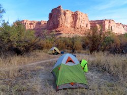 IMG_4379.JPG IMG_4379.JPG