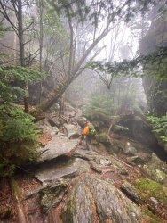 FB_IMG_1604329638709.jpg FB_IMG_1604329638709.jpg