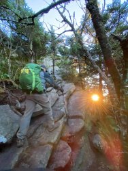 FB_IMG_1604329660363.jpg FB_IMG_1604329660363.jpg