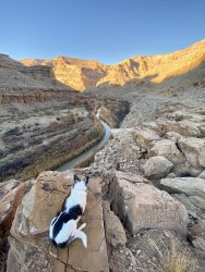 IMG_8329.jpeg IMG_8329.jpeg