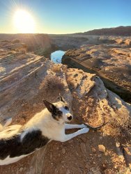 IMG_8470.jpeg IMG_8470.jpeg