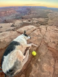 IMG_8244.jpeg IMG_8244.jpeg