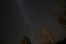 IMG_5725.jpg IMG_5725.jpg