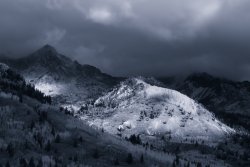 Silver Lake Flats- 2 Gimpy -11-20201301-sm-bw.jpg