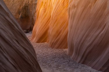 010026000 x 40002.jpg