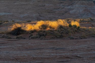 006946000 x 40001.jpg