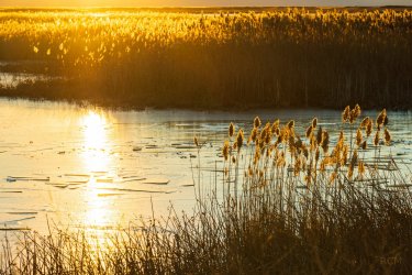 B Friday B Refuge-017246000 x 40003.jpg