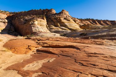 Zebra to BigHorn-009976000 x 40002.jpg