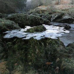 andy-goldsworthy-leaf-sculptures-thin-ice-formed-overnight-lifted-from-river-pools-frozen-arou...jpg