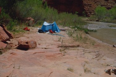 ESCALANTE RIVER CAMP SITE.jpg