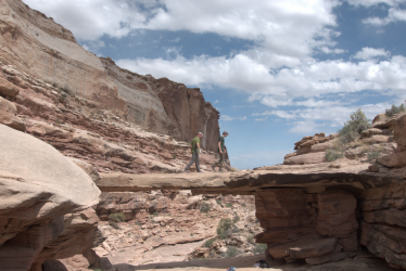 Screenshot from 2020-12-17 21-00-04.png