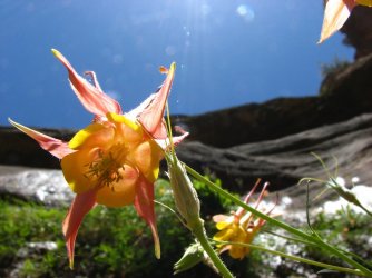 Gateway to the Narrows 125.JPG