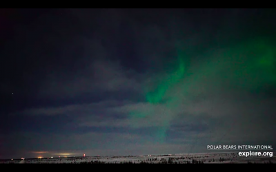 Screen Shot 2020-12-31 at 11.34.29 PM.png