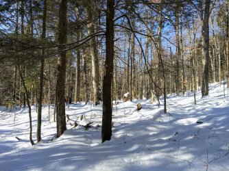 FCA156B0-BFAA-4680-B008-2389F15F915A.jpeg FCA156B0-BFAA-4680-B008-2389F15F915A.jpeg