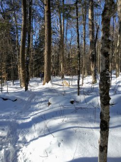 567D88D7-F75B-4D6C-BADE-6731D9B3A698.jpeg 567D88D7-F75B-4D6C-BADE-6731D9B3A698.jpeg