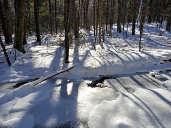 61694795-C75C-444C-BDE3-2BDE5AA74FF1.jpeg 61694795-C75C-444C-BDE3-2BDE5AA74FF1.jpeg