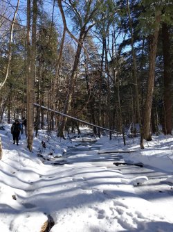 5732A739-310F-445B-AA7A-2CB96A251232.jpeg 5732A739-310F-445B-AA7A-2CB96A251232.jpeg