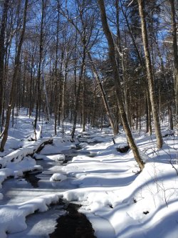 43E8B6D0-E09A-4E97-8845-940FD38B7C01.jpeg 43E8B6D0-E09A-4E97-8845-940FD38B7C01.jpeg