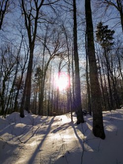 D506F04E-389C-460F-9E92-49A740351BAD.jpeg D506F04E-389C-460F-9E92-49A740351BAD.jpeg