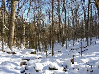 13340683-3106-4F28-9B9D-4DD89C7021FB.jpeg 13340683-3106-4F28-9B9D-4DD89C7021FB.jpeg