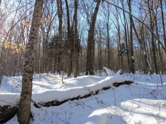 612476D8-2412-4042-8521-A0CF2B7EBA9D.jpeg 612476D8-2412-4042-8521-A0CF2B7EBA9D.jpeg