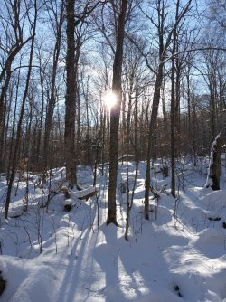 B558A12C-FD04-4578-86EC-0086A518EF86.jpeg B558A12C-FD04-4578-86EC-0086A518EF86.jpeg