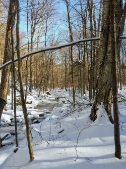 6DADC17C-AAF9-4218-AD86-A6309E9E90DC.jpeg 6DADC17C-AAF9-4218-AD86-A6309E9E90DC.jpeg