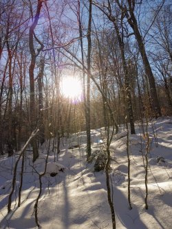 1CC472FB-6EE0-4CBC-A5C4-9C7012A8012D.jpeg 1CC472FB-6EE0-4CBC-A5C4-9C7012A8012D.jpeg