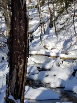 23FD3110-5301-45D2-A770-87943CAE3242.jpeg 23FD3110-5301-45D2-A770-87943CAE3242.jpeg