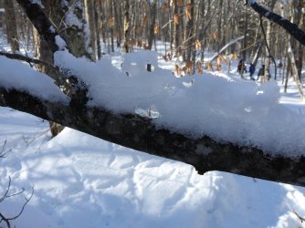 CBF46FD6-D77F-4618-8843-2BEFF2A86C7A.jpeg CBF46FD6-D77F-4618-8843-2BEFF2A86C7A.jpeg