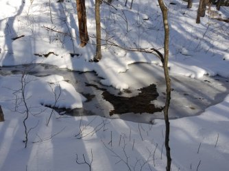 249E3B1D-BCD2-4418-A763-46E1CC31074A.jpeg 249E3B1D-BCD2-4418-A763-46E1CC31074A.jpeg