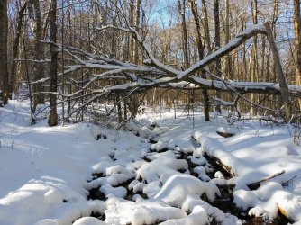 F9EE8B1F-F209-47FF-8529-A69D83C5FE5C.jpeg F9EE8B1F-F209-47FF-8529-A69D83C5FE5C.jpeg