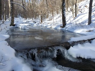 33B8FF33-2BD5-4C99-BE6E-26809ADBE248.jpeg 33B8FF33-2BD5-4C99-BE6E-26809ADBE248.jpeg