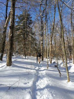 7BED1DE5-EF09-4ABC-9852-A1362142661D.jpeg 7BED1DE5-EF09-4ABC-9852-A1362142661D.jpeg