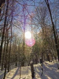 ECD6F4D3-D092-4541-9AF7-88A733361FC4.jpeg ECD6F4D3-D092-4541-9AF7-88A733361FC4.jpeg