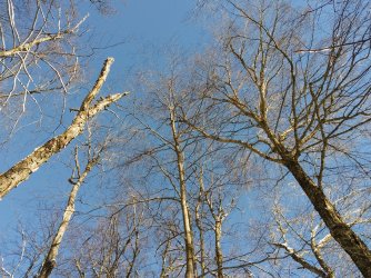 5046C801-30B8-4C20-95B4-689929E596D6.jpeg 5046C801-30B8-4C20-95B4-689929E596D6.jpeg